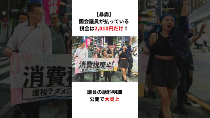 【暴露】国会議員が払っている税金は2,010円だけ！議員の給料明細公開で大炎上