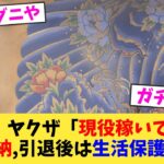 【悲報】ヤクザ「現役稼いで遊んで税金未納,引退後は生活保護や」←【2chまとめ】【2chスレ】【5chスレ】