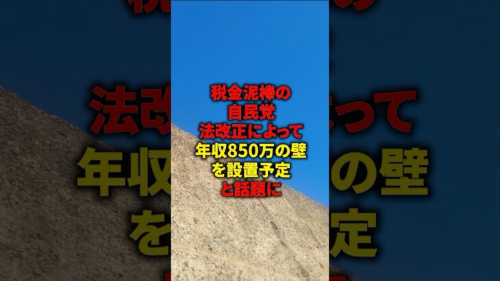 税金泥棒の自民党法改正によって年収850万の壁を設置予定と話題に_#shorts