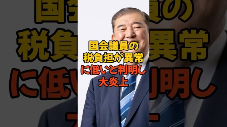 国会議員の税負担が低すぎる #自民党 #国会議員 #税金 #国会議員