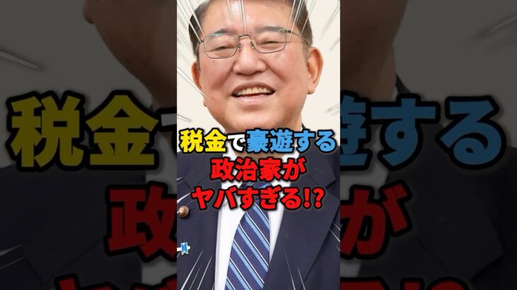 【上級国民】税金で豪遊する政治家がヤバすぎる⁉️#税金 #自民党 #政治  #雑学 #ニュース