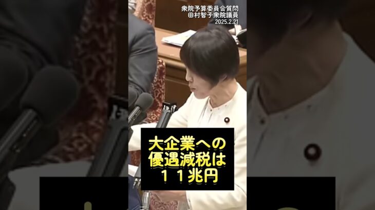 【税金が重すぎ】一番 重い税金って何？#日本共産党 #田村智子 #消費税