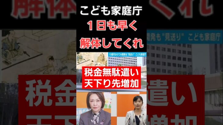 こども家庭庁は早く解体してくれ！税金の無駄遣いと天下り先の増加！これで増税か？財務省もだが岸田文雄政権から今の石破茂政権に到るまで無駄が多くてたくさんの国民の命と生活が地獄になっています。