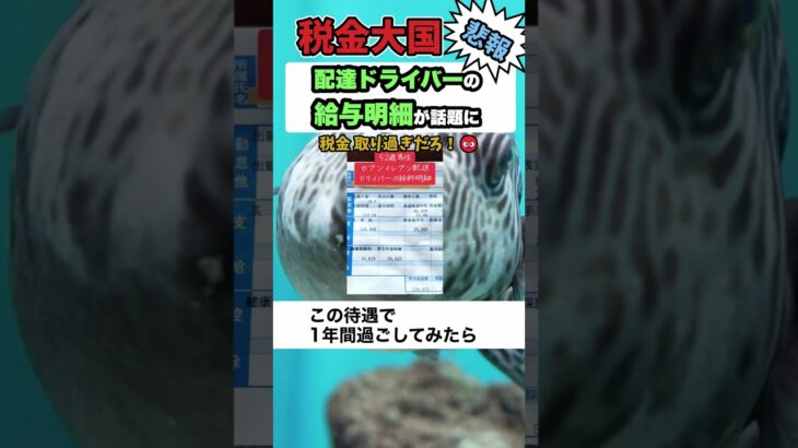 日本は税金を取り過ぎていると給与明細を公開して話題に