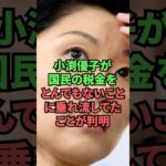 小渕優子が国民の税金をとんでもないことに垂れ流してたことが判明