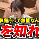 【税金を垂れ流し】国民から「こ家庁解体論」が浮上！！一方の三原じゅん子大臣は官僚の作文を音読するだけwwwww【れいわ新選組/解説動画】