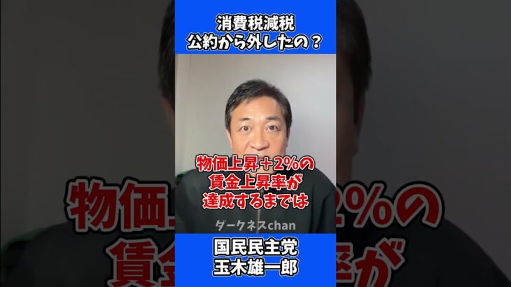 消費税減税 公約から外したの？ / 国民民主党 玉木雄一郎 たまきチャンネル