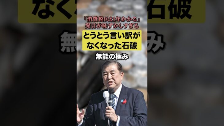 「消費税0は1年かかる」発言が恥ずかしすぎる！！🤣とうとう言い訳がなくなってしまった石破🌀🤭#石破茂 #恥ずかしい #日本 #消費税