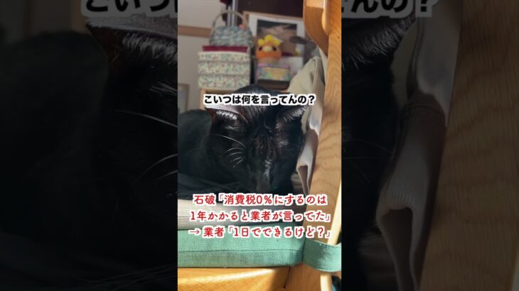 【激怒】石破 ｢消費税0％にするのは1年かかると業者が言ってた｣→ 業者 ｢1日でできるけど？｣