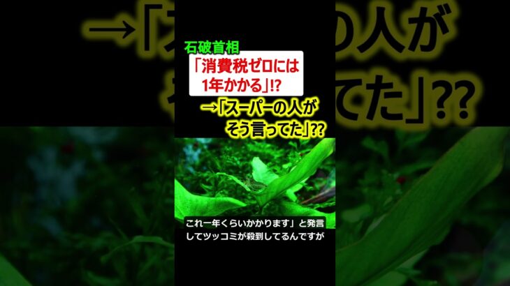 石破首相「消費税0%には1年かかる、スーパーのせいだ」→ツッコミが殺到!!