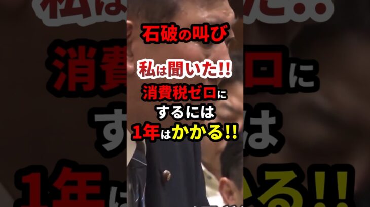 石破「消費税ゼロにするには1年はかかる！私は聞いた！！」#政治 #shorts
