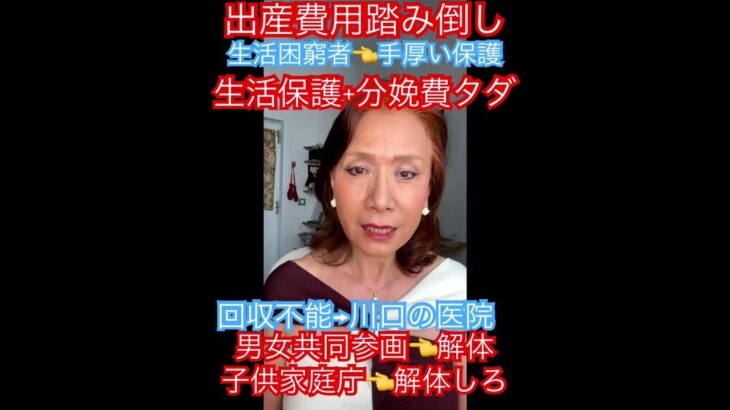 税金の無駄遣い👈こども家庭庁７兆円+男女共同参画10兆円 #石破政権#不法移民#