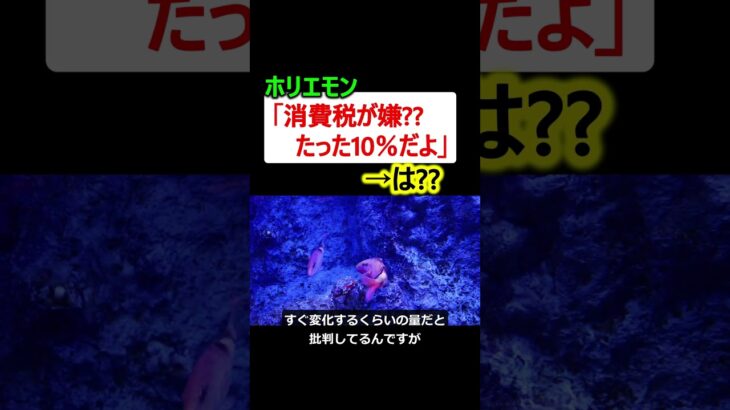 ホリエモン「消費税が嫌か?? たった10％だよ」→は??