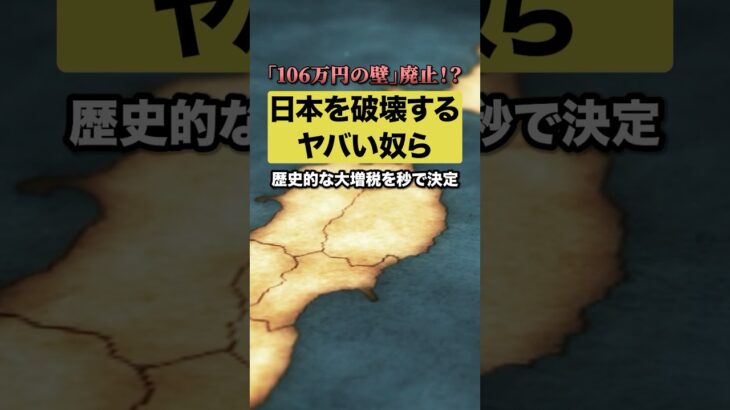 「106万円の壁」廃止⁉︎💢案の定、増税は秒で閣議決定する始末！！#税金 #厚生年金 #日本 #増税止めろ