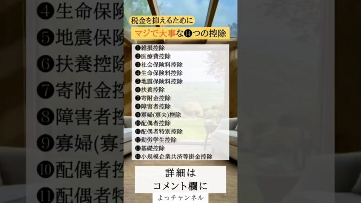税金を抑えるためにまじで大事な14つの控除#投資#転職#貯金
