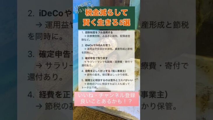 【1分勉強】税金減らして賢く生きろ5選 #資産形成 #お金を増やす #お金の勉強 #お金 #投資 #お金持ち #お金の知識 #コツコツカンガルー