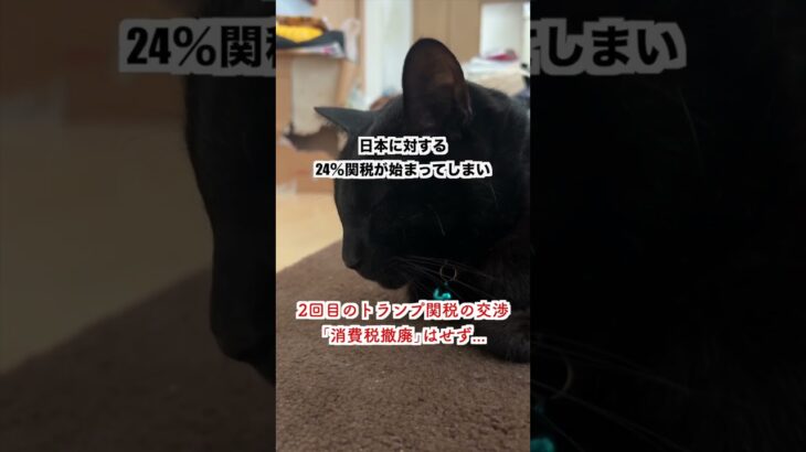 【激怒】石破 2回目の関税交渉で「消費税廃止」という最強カードを切らず…