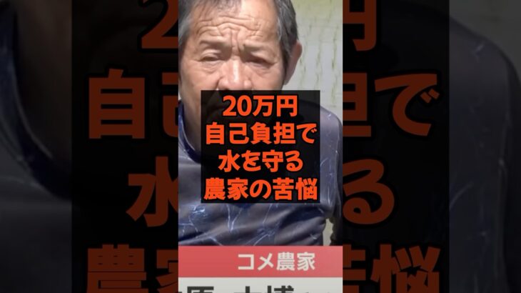20万円自己負担で水を守る農家の苦悩　#農水大臣 #農家 #農林水産省 #税金 #政治 #農協