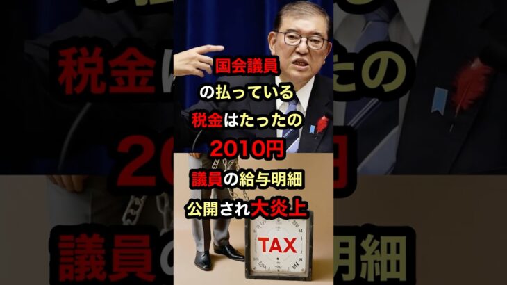 国会議員の払っている税金はたったの2010円！？議員の給与明細が公開され大炎上