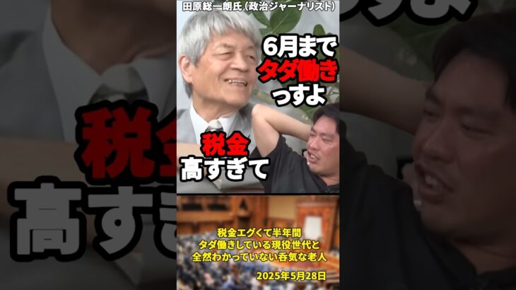 「嫌なら海外に行けばいいじゃないｗ」税金エグくて半年間タダ働きしている現役世代と全然わかっていない呑気な老人【2025年5月28日】#shorts # 政治#社会保険料#税金#現役世代#氷河期