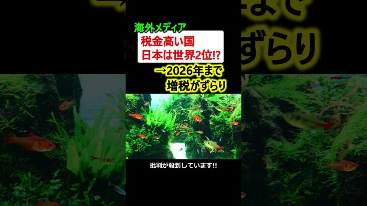「税金が高い国、日本は世界2位」→なお2026年まで増税がズラリ…