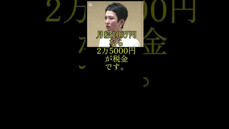 消費税25%にするから立憲民主党に投票してな！左翼　2025年