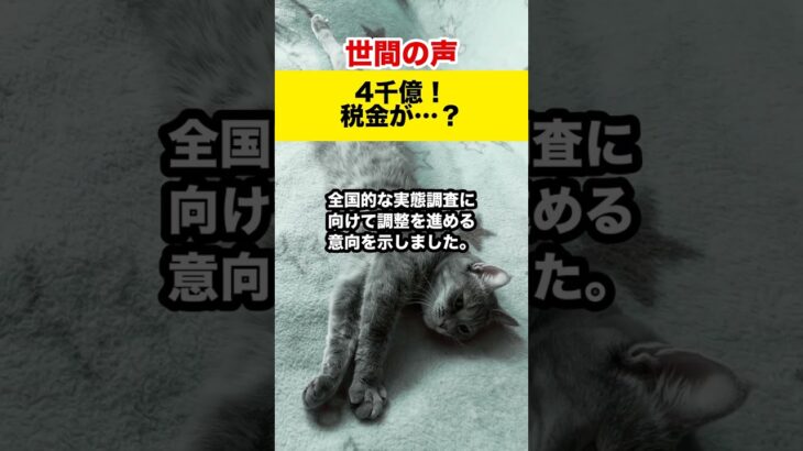 【世間の反応】外国人未納で4千億円！税金で穴埋め？対策は急務！#shorts