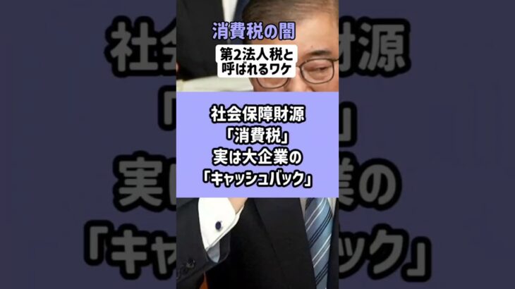 【告発】消費税は福祉じゃなく企業優遇国会で暴かれた8.8兆円の真実#shorts #自民党 #ニュース速報 #減税 #増税 #消費税  #消費税 #選挙 #石破茂 #国会 #参政党 #国民民主党