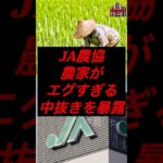 JA農協、農家がエグ過ぎる中抜きを暴露 #税金 #政治 #農協 #農業 #備蓄米