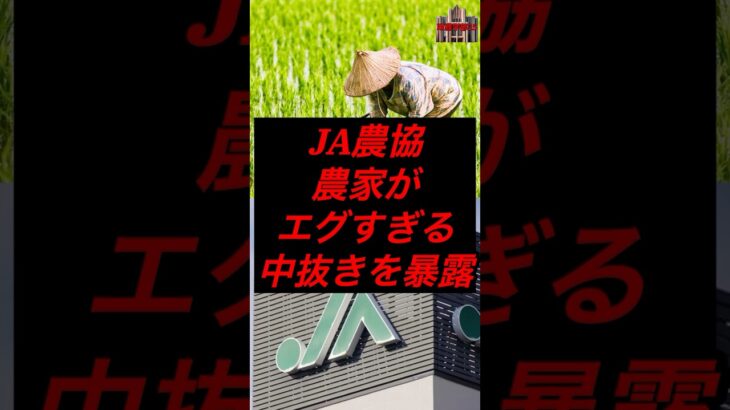 JA農協、農家がエグ過ぎる中抜きを暴露 #税金 #政治 #農協 #農業 #備蓄米