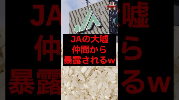 JAの大嘘、仲間から暴露されるw #税金 #政治 #自民党 #石破 #農協 #農業