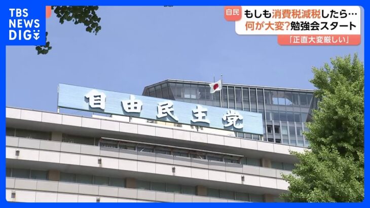 “消費税の減税”実施が可能か自民が勉強会　意見の集約は難航が予想｜TBS NEWS DIG