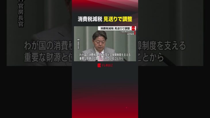 消費税減税 見送りで調整 #shorts  #自民党 #消費税 #減税 #トランプ関税