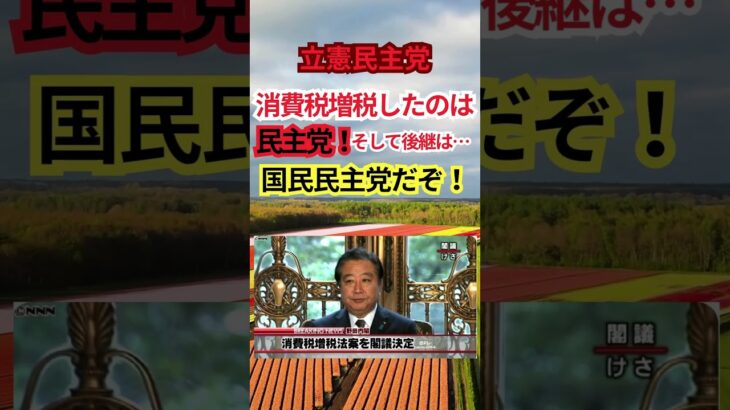 立憲民主党「消費税上げたのは実質国民民主だぞ！」 #shorts #消費税増税 #野田佳彦