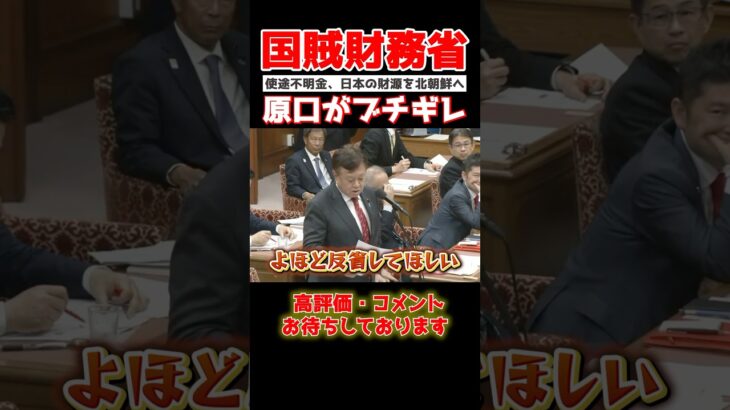 【立憲 原口一博】「税金が北朝鮮へ流れてる!!」財務省が招いた最悪な事態を原口が大暴露…#shorts #国会中継 #政治
