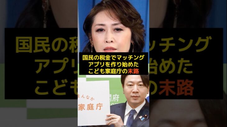 民間でできるマッチングアプリを税金で行うこども家庭の末路…#海外の反応 #備蓄米#shorts #備蓄米 #消費税 #石破茂 #政治 #自民党 #財務省 #減税 #雑学 #選挙 #参議院 #少子化