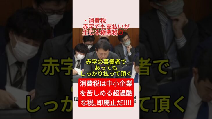 【極悪 消費税】赤字でも支払いが生じる原口氏が熱弁‼️＃shorts ＃原口一博 ＃赤澤亮正 ＃消費税 ＃自民党
