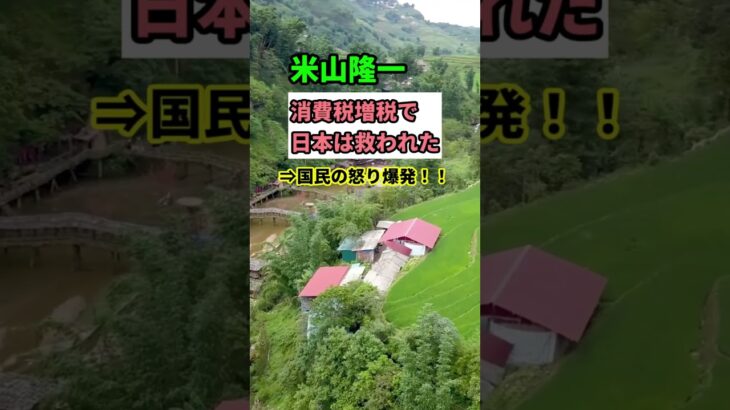 【炎上】立憲・米山隆一「消費税増税で日本は救われた」→国民の怒り爆発　#shorts