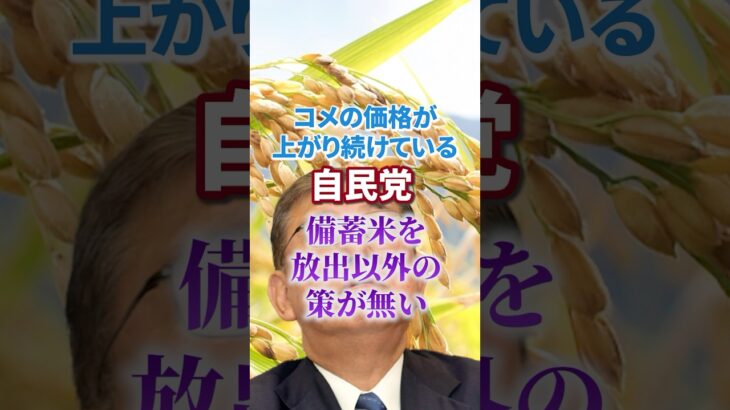 【米不足】最高値を更新｜備蓄米｜石破 無策｜【消費税減税｜日本人ファースト】国見民主党｜玉木雄一郎｜減税｜一律給付金｜生活保護 #shorts