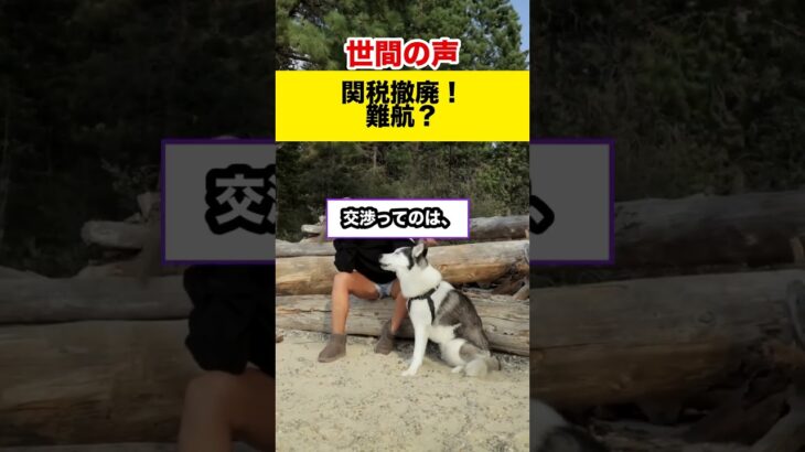 【世間の反応】石破氏、消費税ゼロに疑問！関税交渉は？#shorts