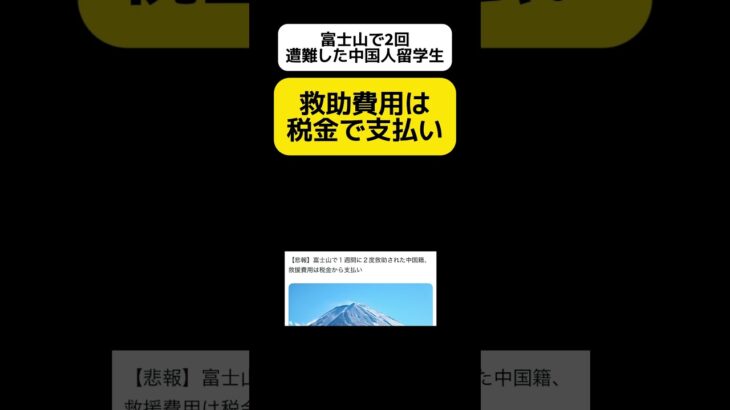 【結局】救助費用は税金で支払い #shorts