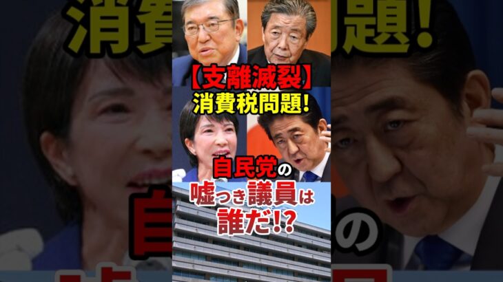 石破「消費税は全額社会保障に使っています」#政治 #shorts
