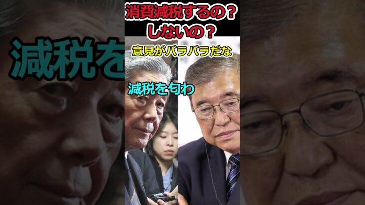 自民党は減税するの？しないの？⇒国民民主が違和感示す！ #shorts #国民民主党 #玉木雄一郎 #自民党 #石破茂 #消費税 #trending #news #youtubeshorts