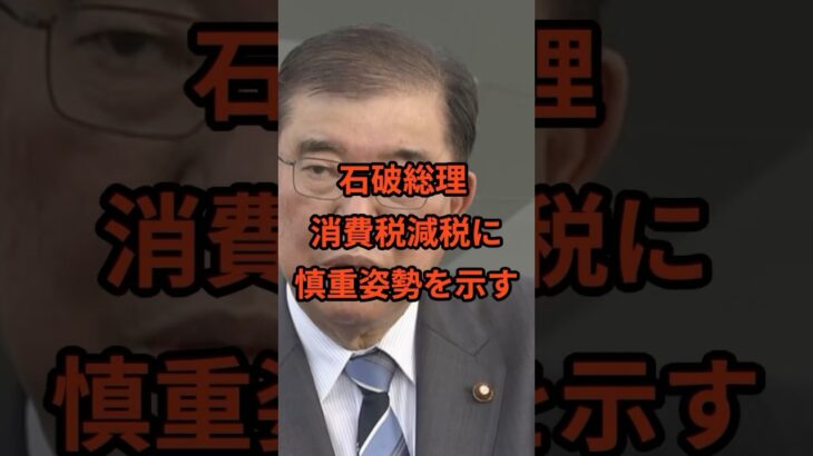 石破総理 食料品消費税減税に慎重姿勢 #自民党 #石破茂 #財務省 #消費税 #消費税減税