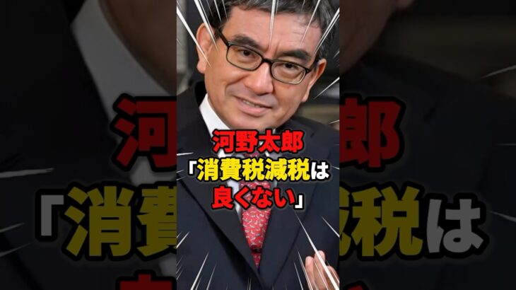 【意味不明】河野太郎「消費税減税は良くない」 #雑学 #ニュース #自民党 #税金