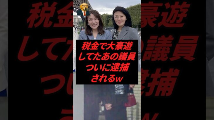 【朗報】税金で大豪遊していたあの議員、ついに逮捕される