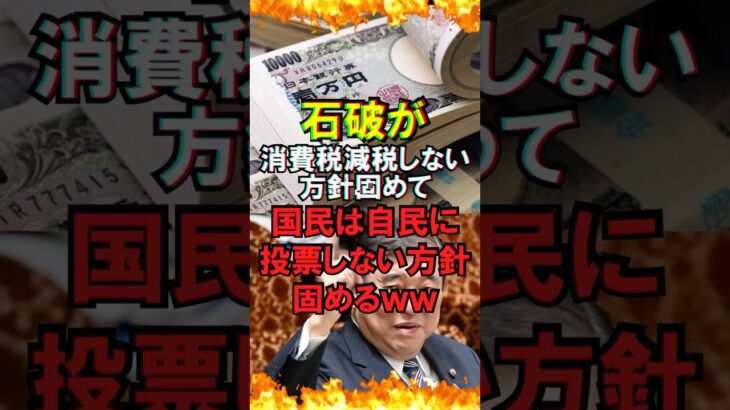 【ゆっくり解説】石破が消費税減税しない方針固めて国民は自民に投票しない方針固めるｗｗ#自民党 #石破茂 #高市早苗 #国民民主党 #玉木雄一郎 #財務省 #立憲民主党