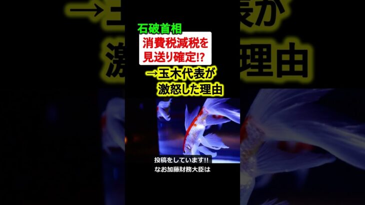 石破首相、消費税減税を見送り!? →玉木代表が激怒した理由とは