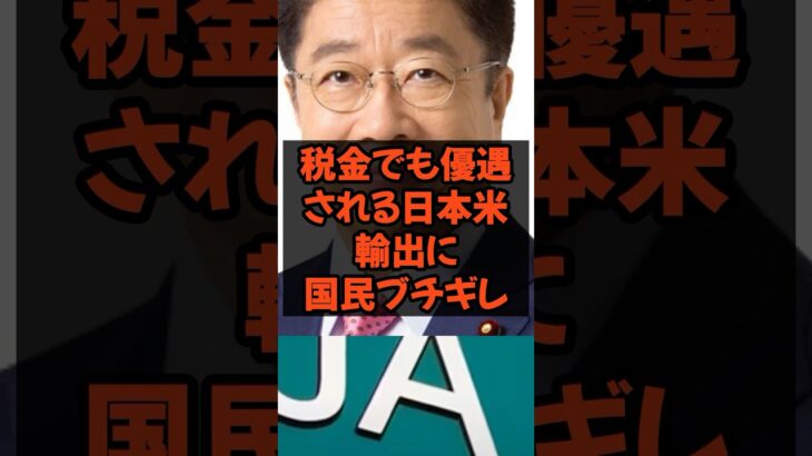 税金でも優遇される日本米輸出に国民ブチギレ　#農水大臣 #農家 #農林水産省 #税金 #政治 #農協 #備蓄米