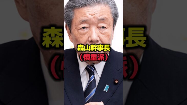 『消費税減税』議論、自民の消極派と積極派の間で揺れ動く石破首相